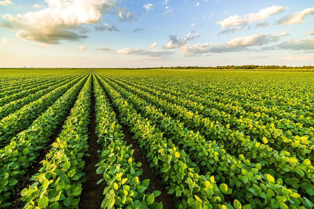 Industries | Agriculture